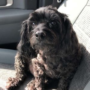 Meet your Posher, April